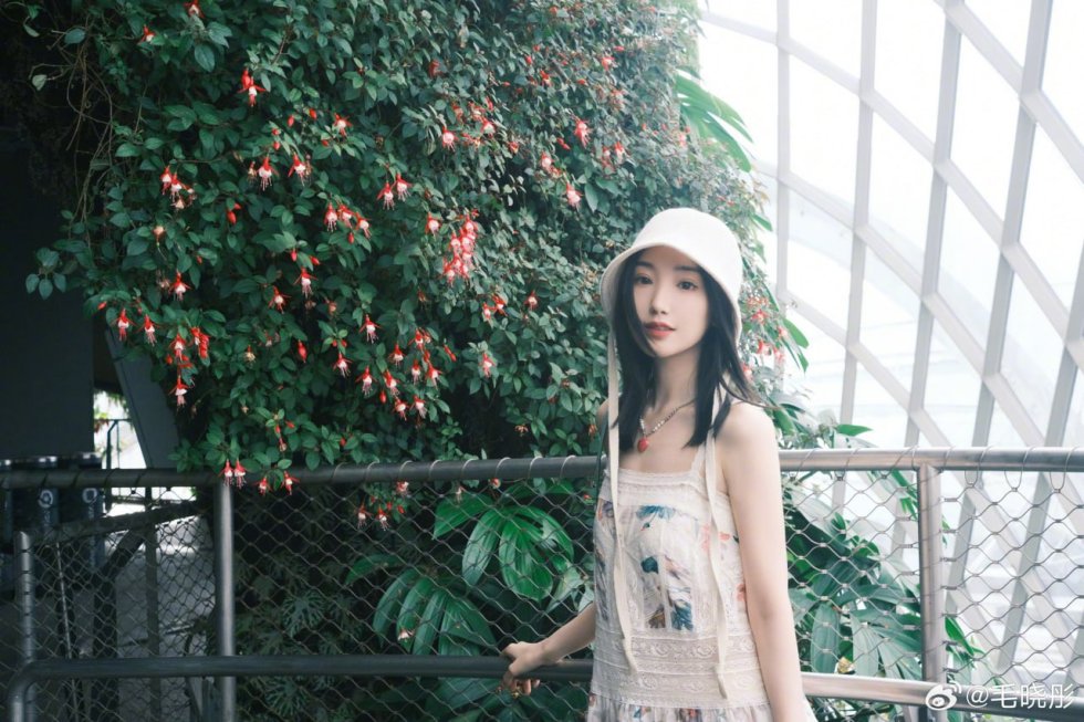 长春包养 长春包养