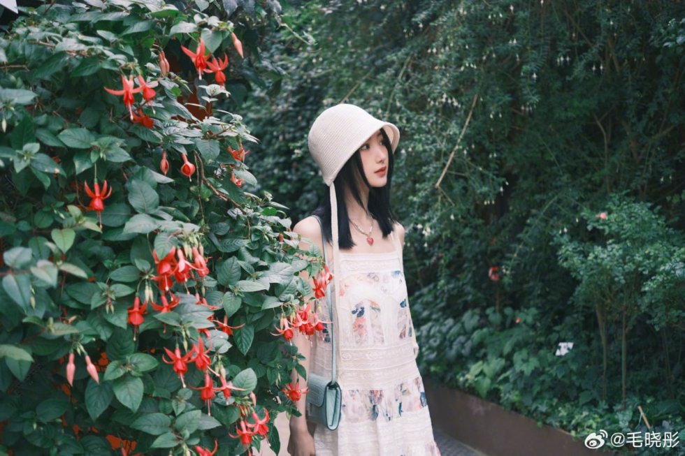 包养背景核验 包养背景核验